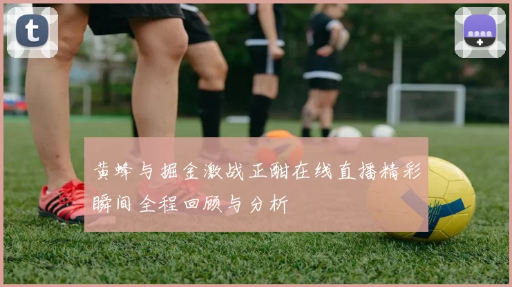 黄蜂与掘金激战正酣在线直播精彩瞬间全程回顾与分析