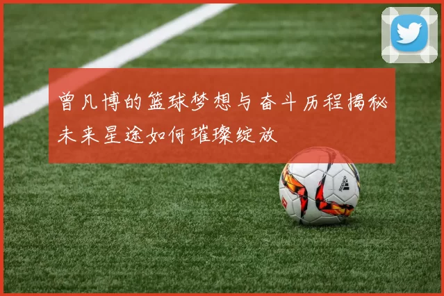 曾凡博的篮球梦想与奋斗历程揭秘未来星途如何璀璨绽放